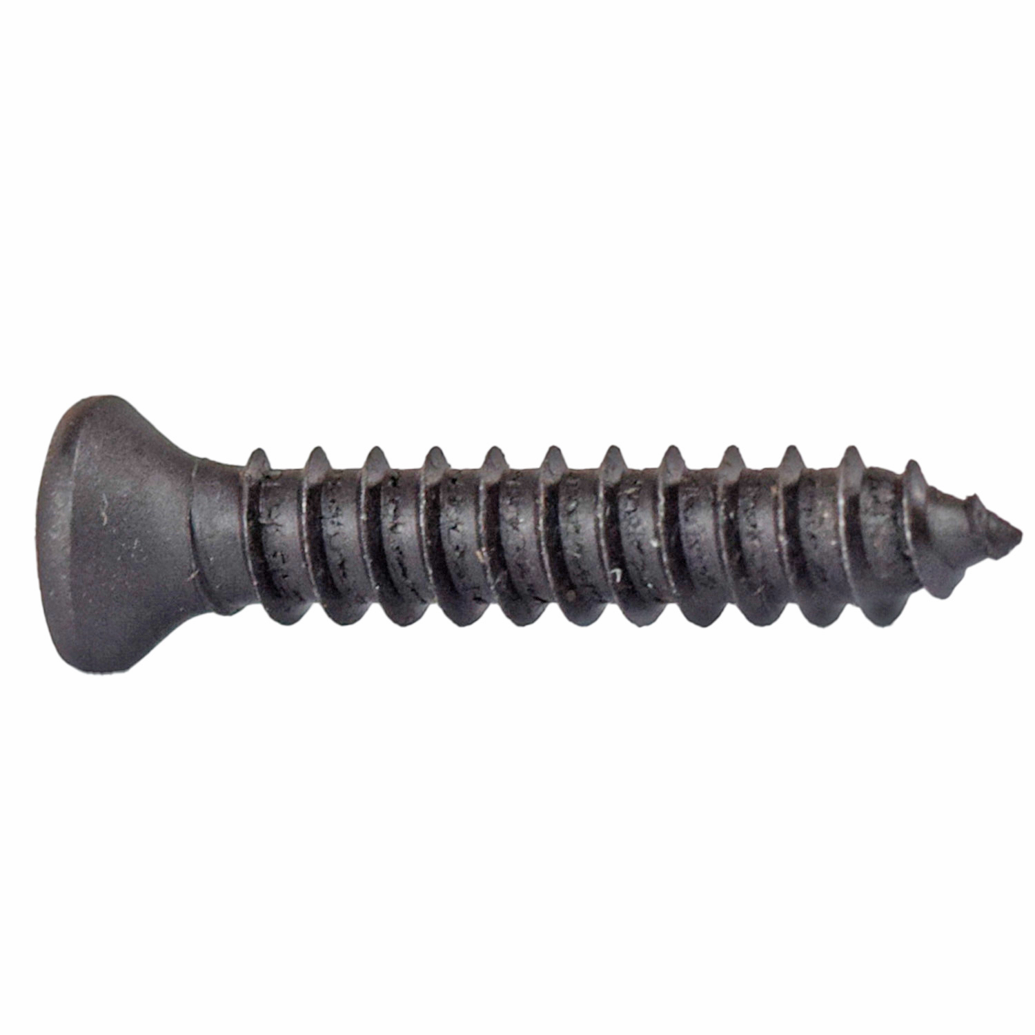 Pija Cabeza Conica VARIOS UNIVERSAL 20151
