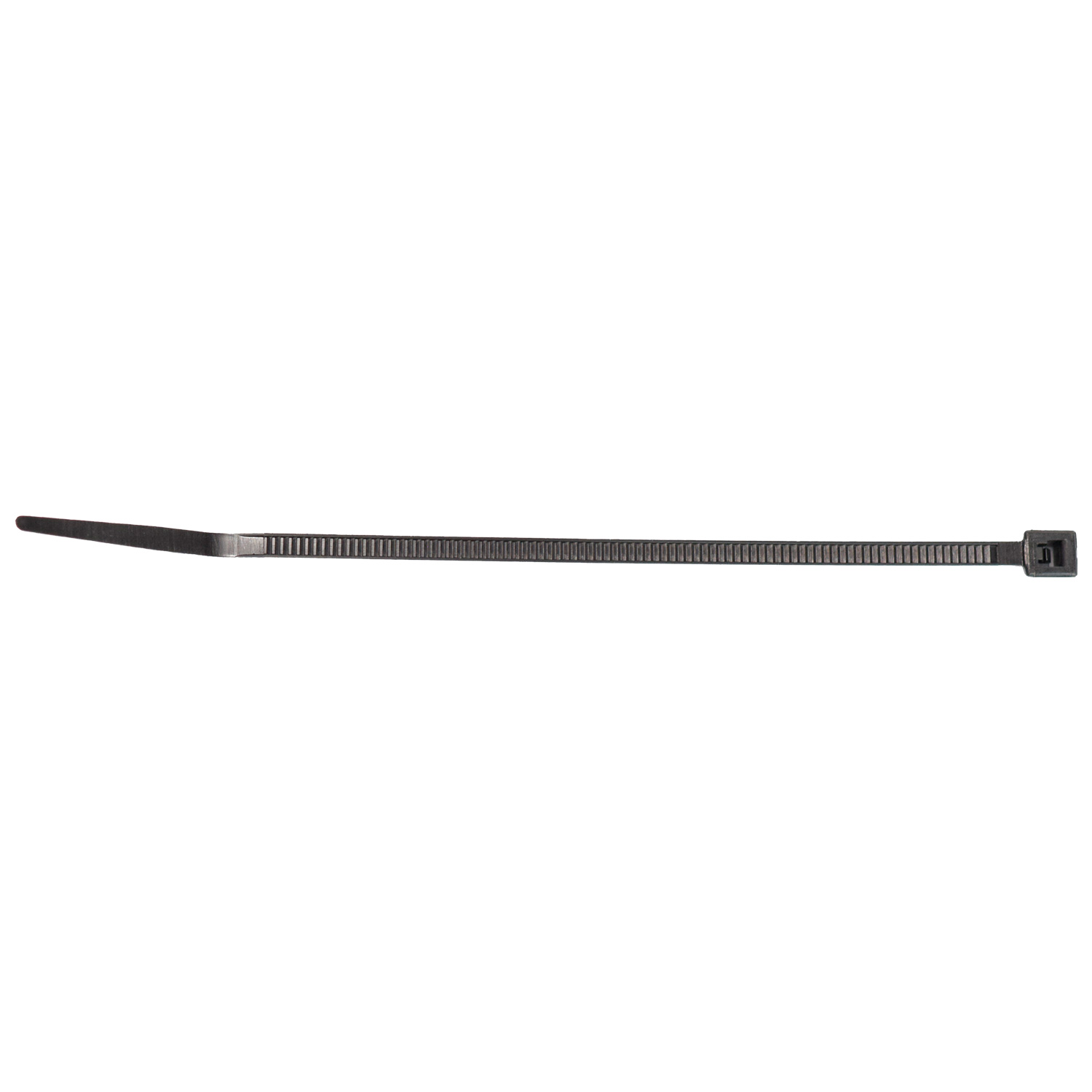 Cincho VARIOS UNIVERSAL 20508