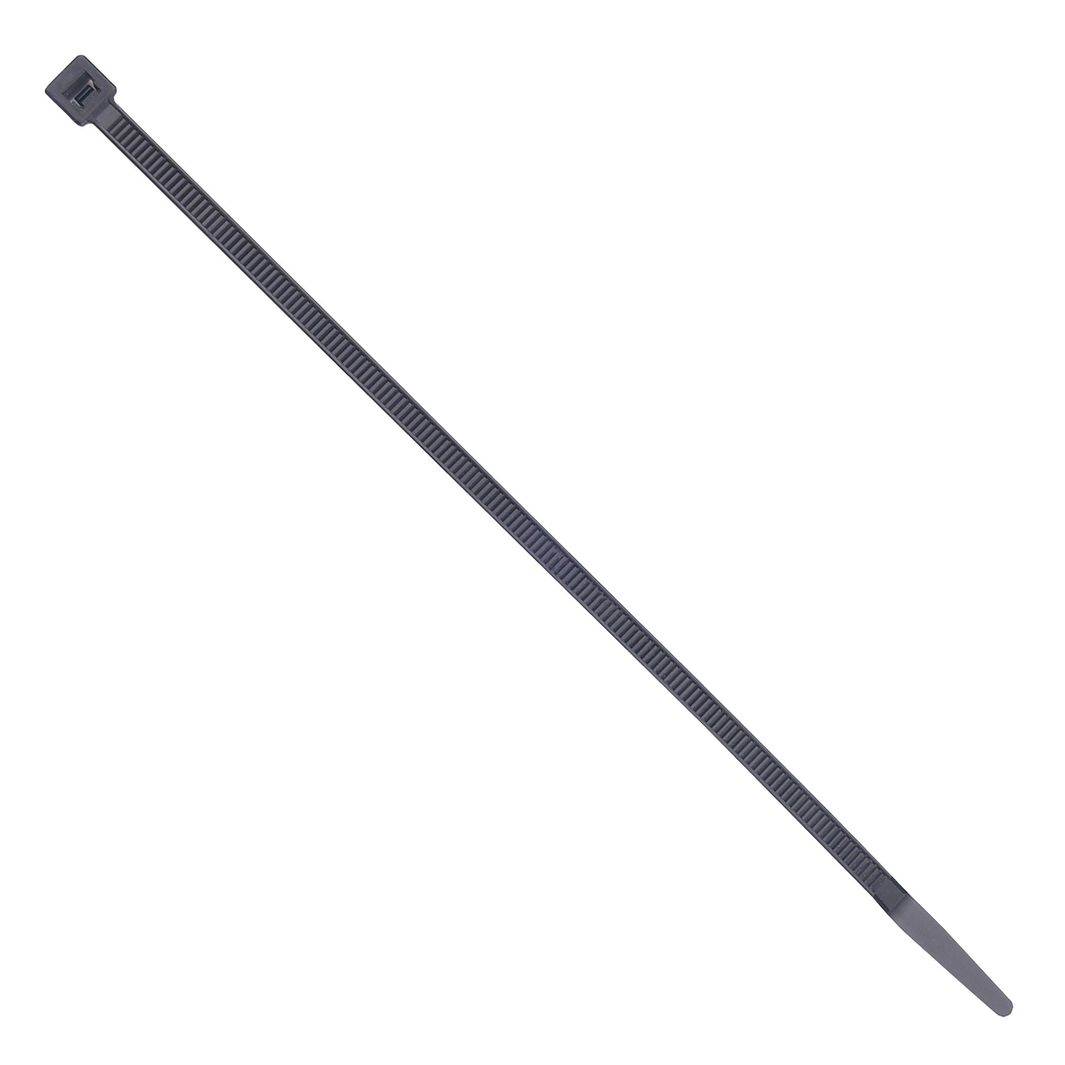 Cincho VARIOS UNIVERSAL 20509