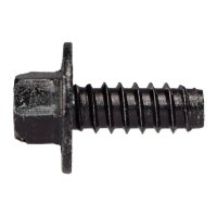 Tornillo Porta Placa VARIOS FORD 20536