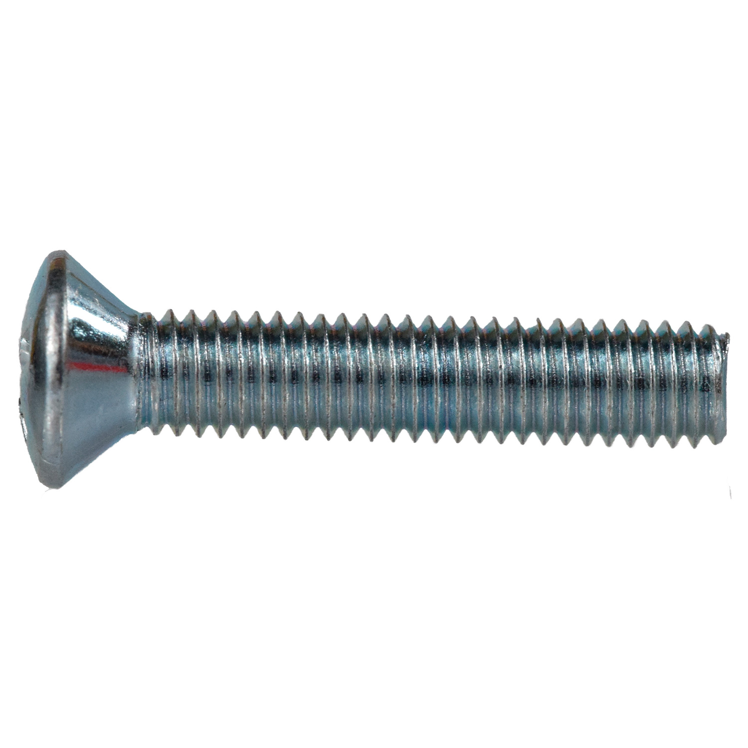 Tornillo Cabeza Ovalada VARIOS UNIVERSAL 20558