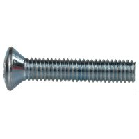 Tornillo Cabeza Ovalada VARIOS UNIVERSAL 20558