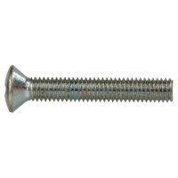 Tornillo Cabeza Ovalada VARIOS UNIVERSAL 20559