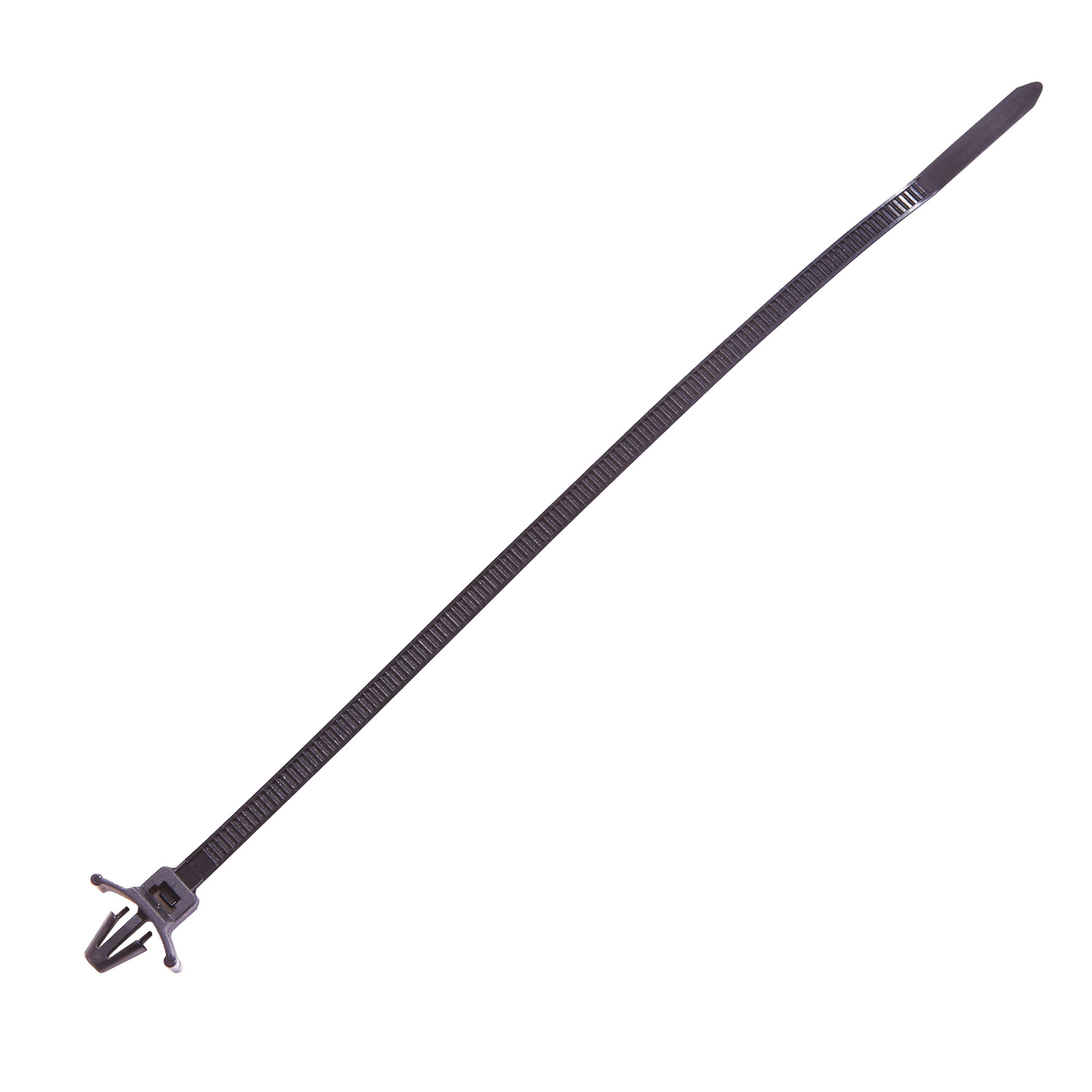Cincho VARIOS UNIVERSAL 20757