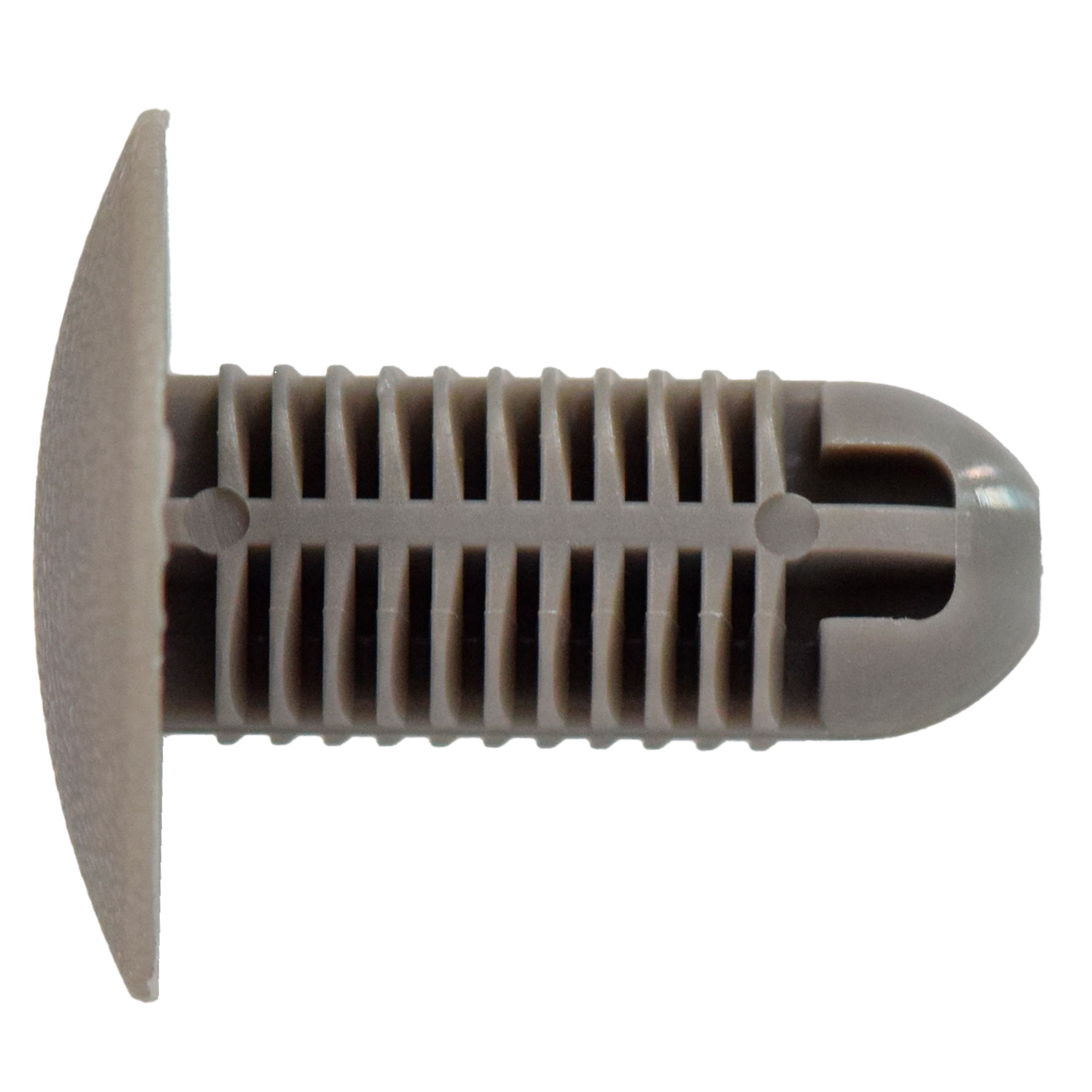 Retenedores VARIOS TOYOTA 21104