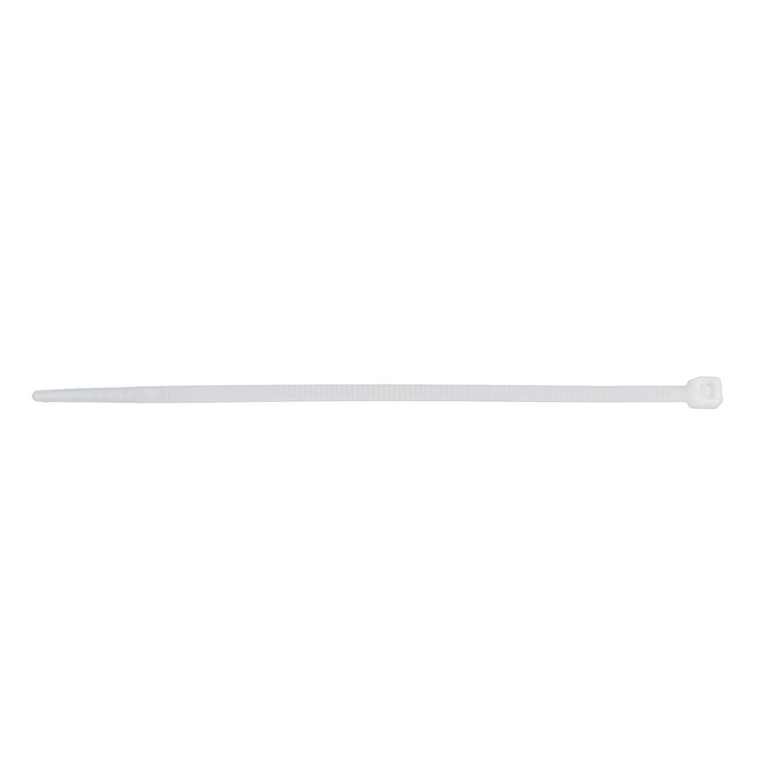 Cincho VARIOS UNIVERSAL 21144