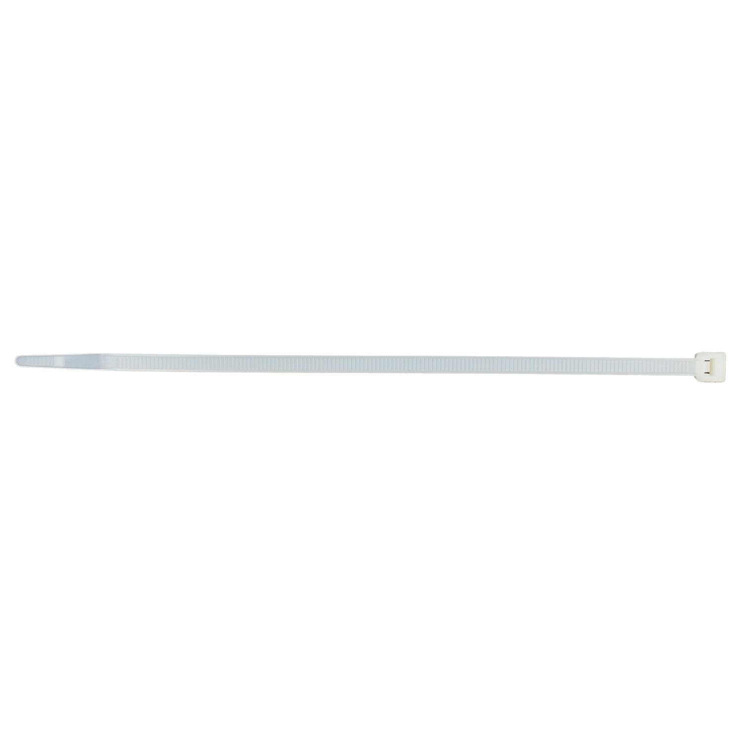 Cincho VARIOS UNIVERSAL 21146