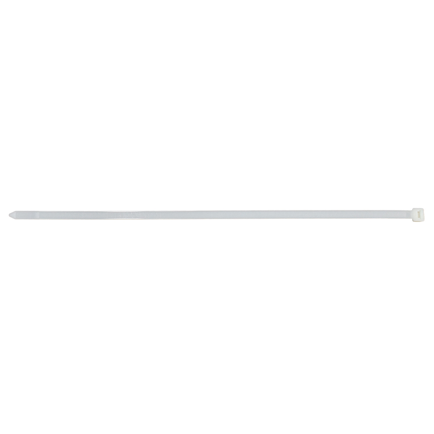 Cincho VARIOS UNIVERSAL 21148