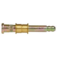Pernos VARIOS FORD 21450