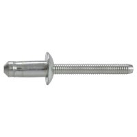 Remache Uso Rudo F-150 FORD 21509