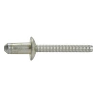 Remache Uso Rudo F-150 FORD 21510