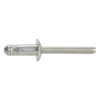 Remache Uso Rudo F-150 FORD 21511
