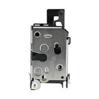 CHAPA DE PUERTA FORD FIESTA /TRASERA/DERECHO