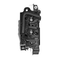 CHAPA DE PUERTA VOLKSWAGEN BEETLE /TRASERA/DERECHO