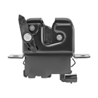 CHAPA DE PUERTA RENAULT SANDERO /TRASERA